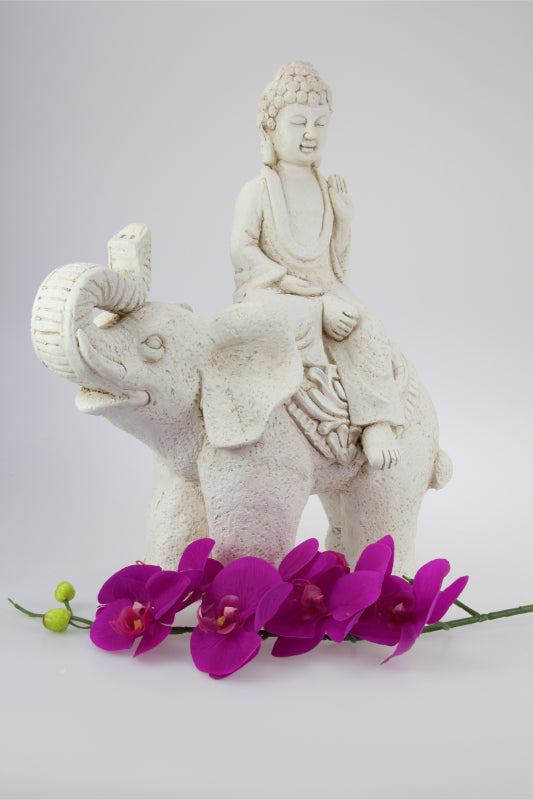 48cm Cream Buddha Sitting on Elephant